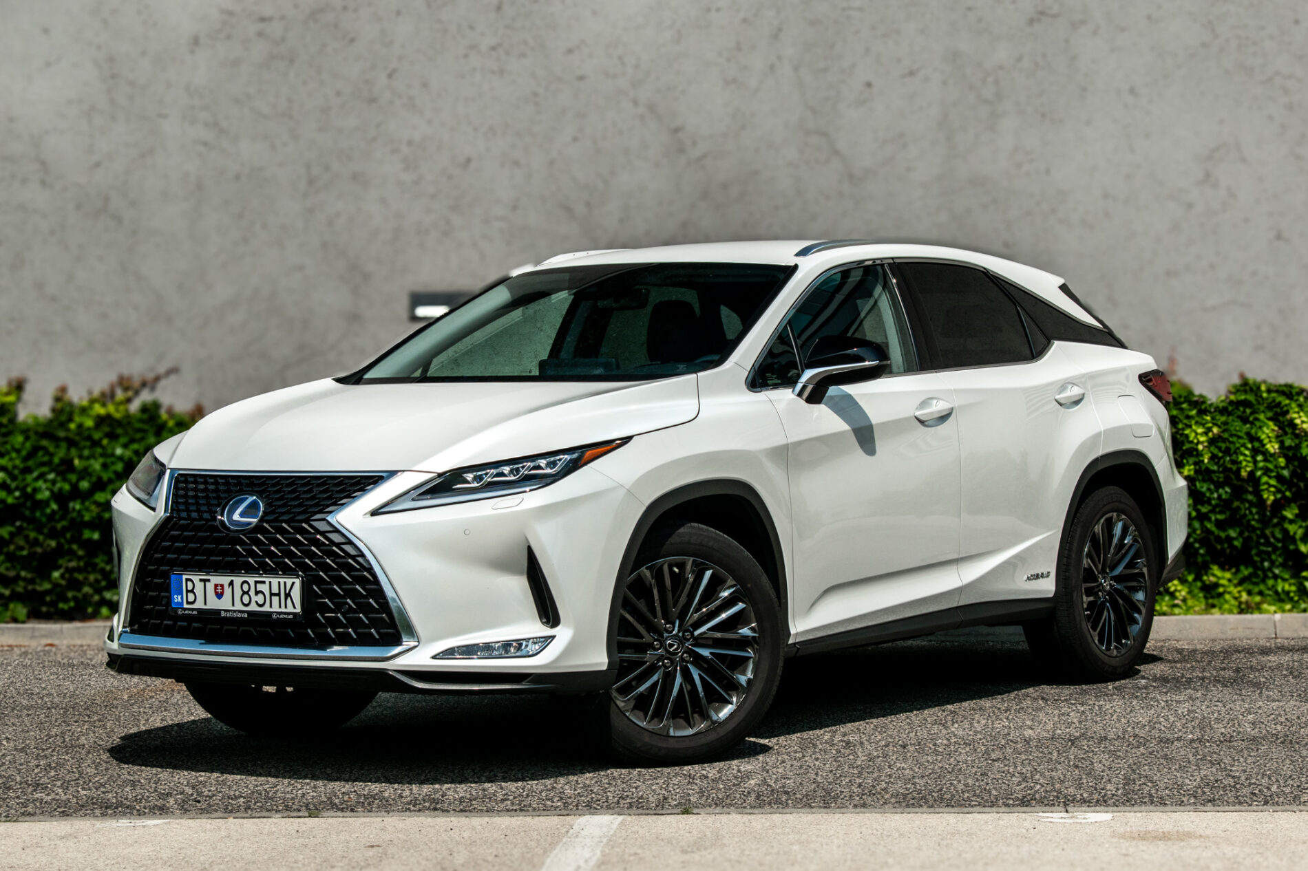 Lexus RX 450h 193kW / AJ NA SPLÁTKY / PROTIÚČET
