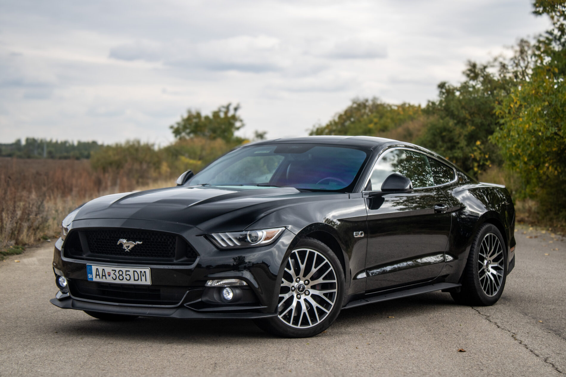 Ford Mustang 5.0 Ti-VCT V8 GT 310kW 2016 RWD / AJ NA SPLÁTKY / PROTIÚČET